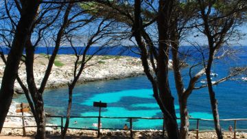 6 unmissable things of the smallest island of the Egadi Islands - 5