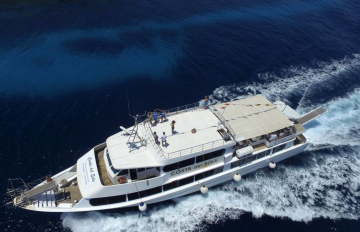 Escursione da Trapani alla scoperta di Favignana e Levanzo - 4