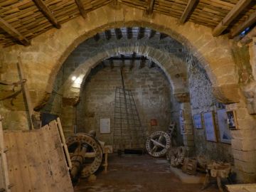 How to reach and what to know about Salt pans of Trapani and Marsala - 3