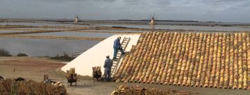 Come raggiungere e cosa sapere sulle Saline di Trapani e Marsala - 2