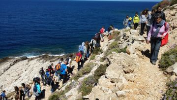6 unmissable things of the smallest island of the Egadi Islands - 10